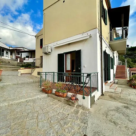 Rosmarino *